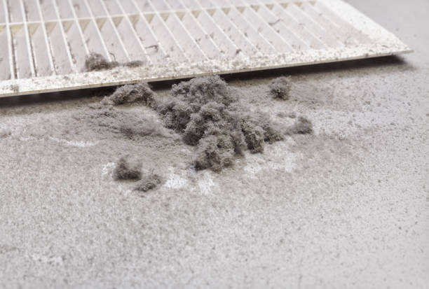 Professional Airduct Cleaning in Vienna Bend, LA