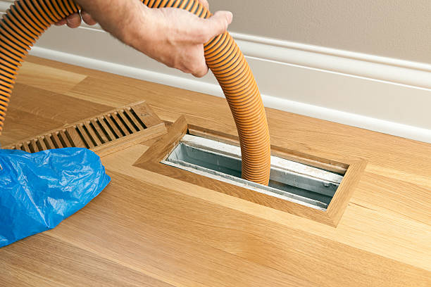 Best Air Duct Cleaning Near Me  in Vienna Bend, LA